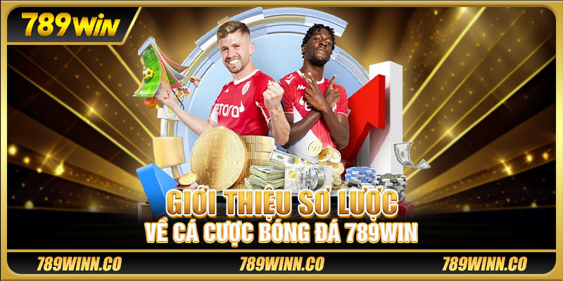 Giới thiệu sơ lược về cá cược bóng đá 789WIN