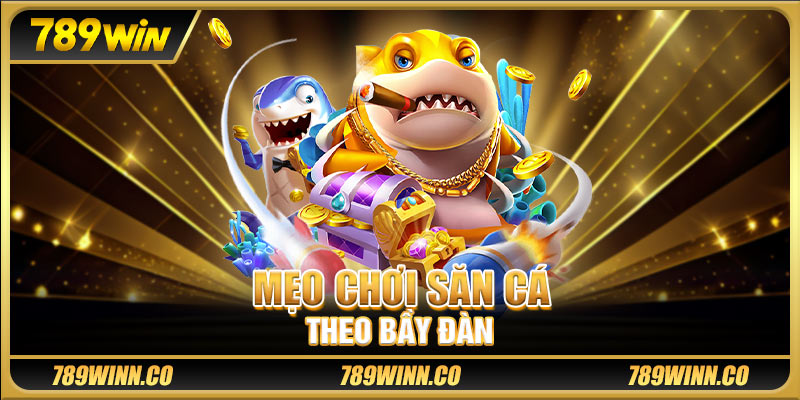 Mẹo chơi săn cá theo bầy đàn