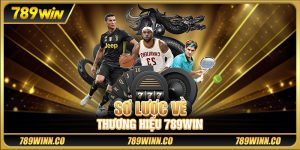 Sơ lược về thương hiệu 789win