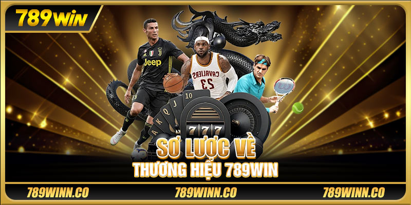Sơ lược về thương hiệu 789win